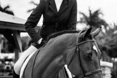 Ann Ehrhart and Coachella