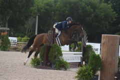 Jane Ehrhart and Goya VLS